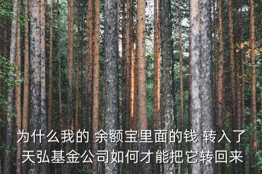 為什么我的 余額寶里面的錢 轉入了 天弘基金公司如何才能把它轉回來