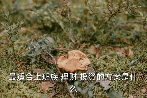 最適合上班族 理財(cái) 投資的方案是什么