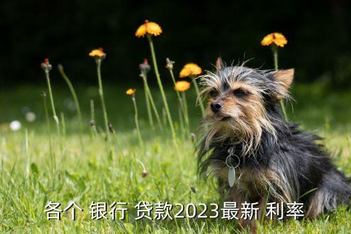 各個 銀行 貸款2023最新 利率