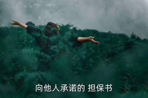 公司為他公司資產(chǎn)擔(dān)保證明怎么寫