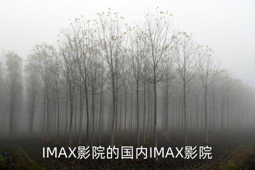 imax中國有多少,IMax中國