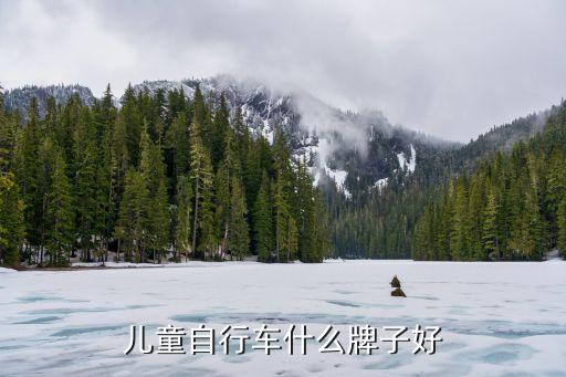 浙江元祺汽車有限公司,浙江華遠汽車科技股份有限公司