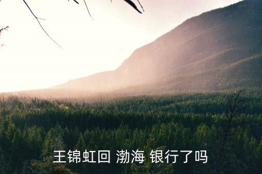 王錦虹回 渤海 銀行了嗎