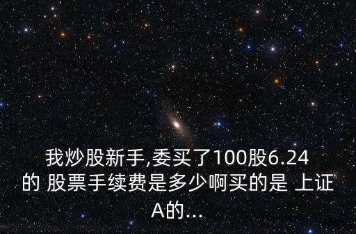 我炒股新手,委買了100股6.24的 股票手續(xù)費是多少啊買的是 上證A的...