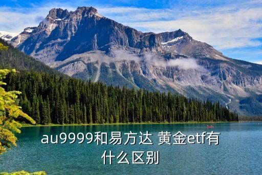 au9999和易方達(dá) 黃金etf有什么區(qū)別