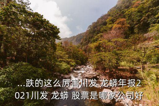 ...跌的這么厲害川發(fā) 龍蟒年報(bào)2021川發(fā) 龍蟒 股票是哪家公司好