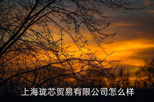  上海瓏芯貿(mào)易有限公司怎么樣