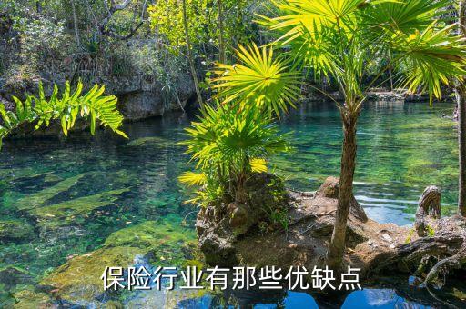 保險(xiǎn)行業(yè)有那些優(yōu)缺點(diǎn)