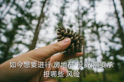 如今想要進行 房地產(chǎn) 投資,需要承擔(dān)哪些 風(fēng)險