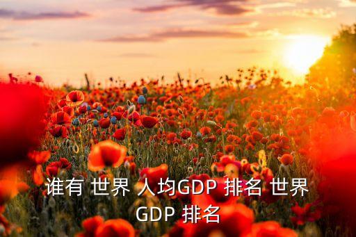 誰有 世界 人均GDP 排名 世界GDP 排名