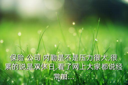 保險 公司 內勤是不是壓力很大,很累的說是雙休日,看了網上大家都說經常加...