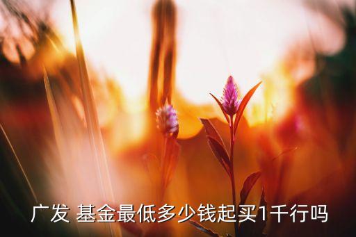  廣發(fā) 基金最低多少錢起買1千行嗎