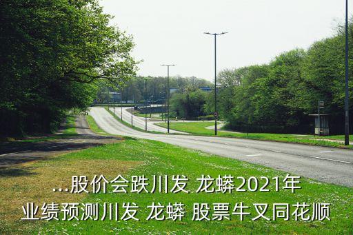 ...股價(jià)會跌川發(fā) 龍蟒2021年業(yè)績預(yù)測川發(fā) 龍蟒 股票牛叉同花順