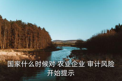 國(guó)家什么時(shí)候?qū)?農(nóng)業(yè)企業(yè) 審計(jì)風(fēng)險(xiǎn)開(kāi)始提示