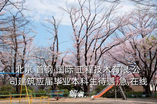 首鋼國際工程公司分公司,首鋼礦山建設(shè)工程公司