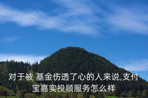 對于被 基金傷透了心的人來說,支付寶嘉實投顧服務(wù)怎么樣