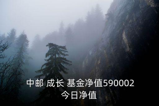  中郵 成長(zhǎng) 基金凈值590002今日凈值