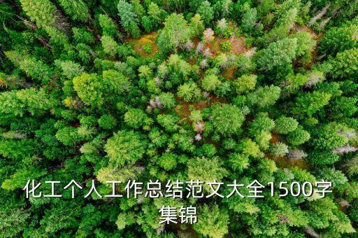 化工個人工作總結(jié)范文大全1500字集錦