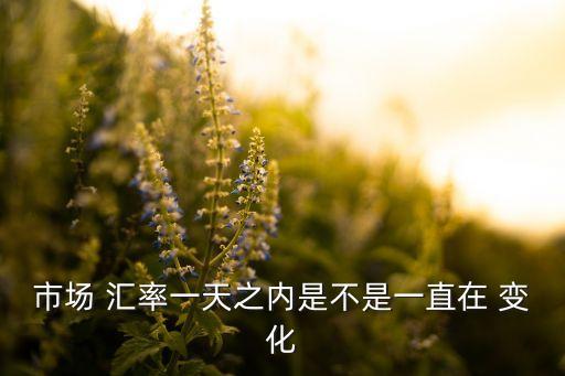 市場(chǎng) 匯率一天之內(nèi)是不是一直在 變化