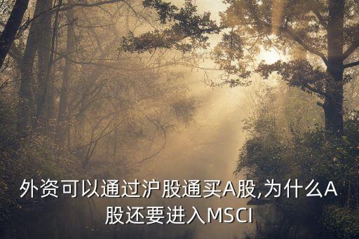 外資可以通過滬股通買A股,為什么A股還要進入MSCI