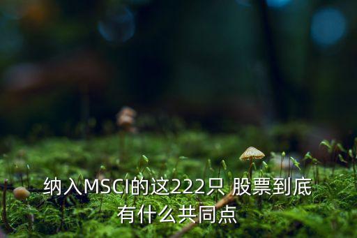 納入MSCI的這222只 股票到底有什么共同點