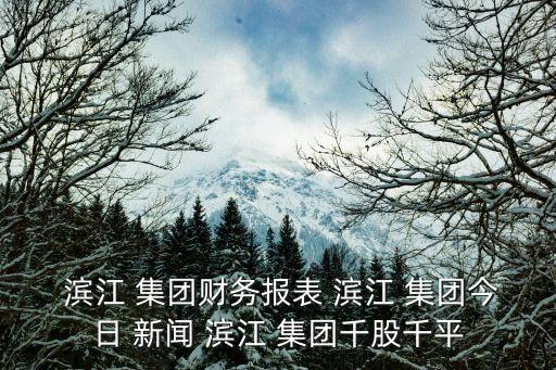  濱江 集團財務報表 濱江 集團今日 新聞 濱江 集團千股千平