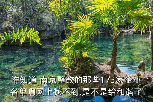 誰知道 南京整改的那些173家企業(yè)名單啊網(wǎng)上找不到,是不是給和諧了