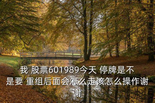 我 股票601989今天 停牌是不是要 重組后面會怎么走該怎么操作謝謝