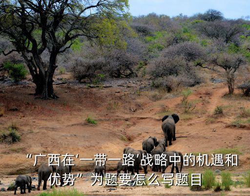 “廣西在‘一帶一路’戰(zhàn)略中的機(jī)遇和優(yōu)勢(shì)”為題要怎么寫(xiě)題目