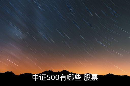 中證500有哪些 股票