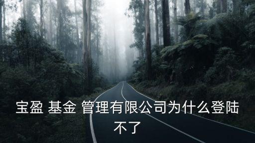 寶盈 基金 管理有限公司為什么登陸不了