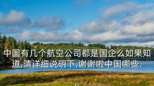 中國有幾個(gè)航空公司都是國企么如果知道,請?jiān)敿?xì)說明下,謝謝啦中國哪些...