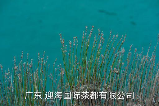 廣東 迎海國際茶都有限公司