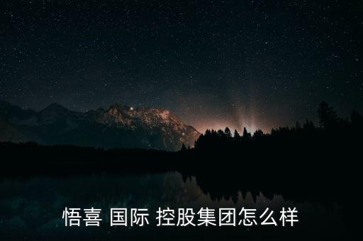 悟喜 國際 控股集團怎么樣