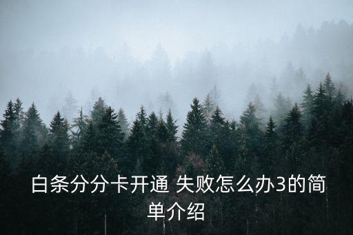  白條分分卡開通 失敗怎么辦3的簡(jiǎn)單介紹