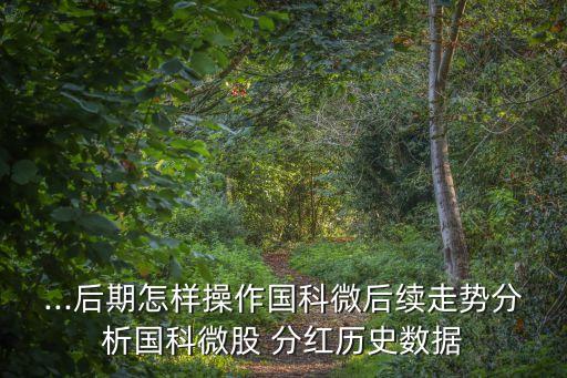 ...后期怎樣操作國科微后續(xù)走勢分析國科微股 分紅歷史數(shù)據(jù)