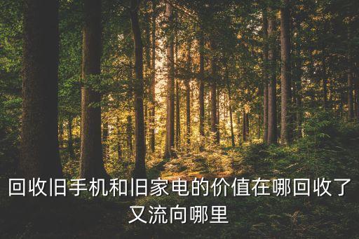 回收舊手機和舊家電的價值在哪回收了又流向哪里