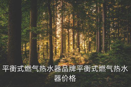 萬和新電氣股份有限公司高層,廣東萬和新電氣股份有限公司是國企嗎