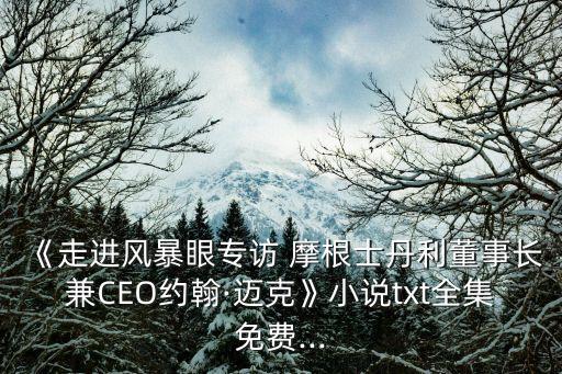 《走進風(fēng)暴眼專訪 摩根士丹利董事長兼CEO約翰·邁克》小說txt全集免費...