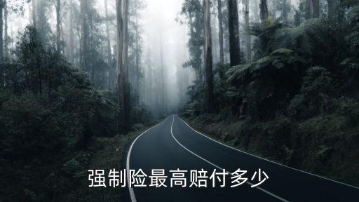 保險(xiǎn)公司最高賠償金額,事故人對(duì)保險(xiǎn)公司賠償?shù)慕痤~不滿意