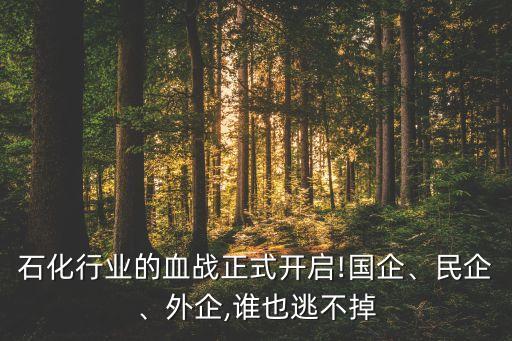 石化行業(yè)的血戰(zhàn)正式開啟!國企、民企、外企,誰也逃不掉