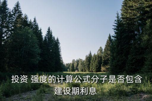  投資 強度的計算公式分子是否包含建設(shè)期利息