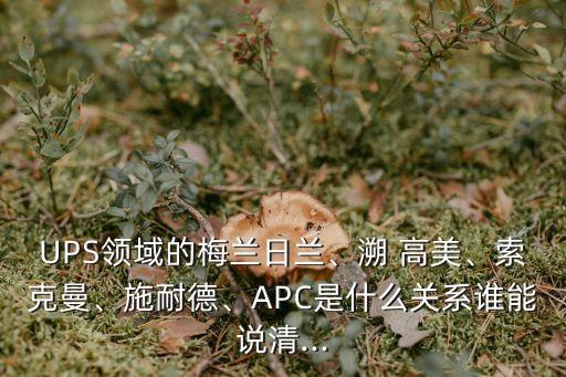 UPS領(lǐng)域的梅蘭日蘭、溯 高美、索克曼、施耐德、APC是什么關(guān)系誰能說清...