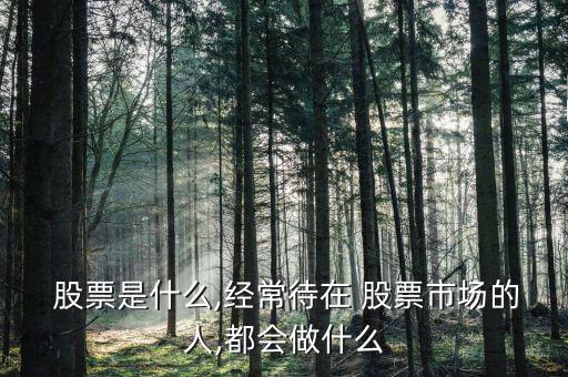  股票是什么,經(jīng)常待在 股票市場的人,都會做什么