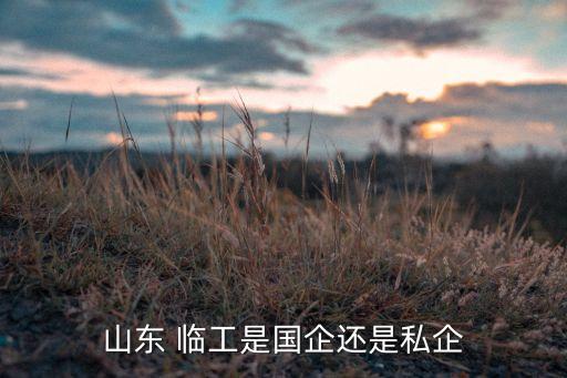 臨工集團(tuán)成員公司