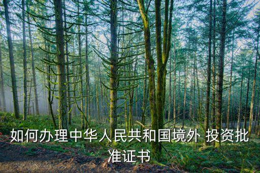 如何辦理中華人民共和國(guó)境外 投資批準(zhǔn)證書