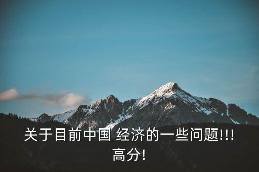 關(guān)于目前中國 經(jīng)濟(jì)的一些問題!!!高分!