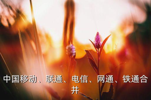 中國移動、聯(lián)通、電信、網(wǎng)通、鐵通合并