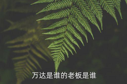  萬(wàn)達(dá)是誰(shuí)的老板是誰(shuí)