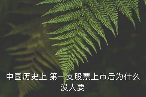 中國(guó)歷史上 第一支股票上市后為什么沒(méi)人要